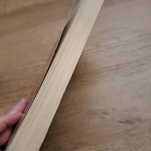 Lord Byron historical novel like new