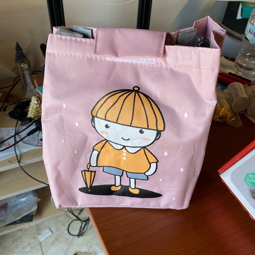 Insulated lunch bag new