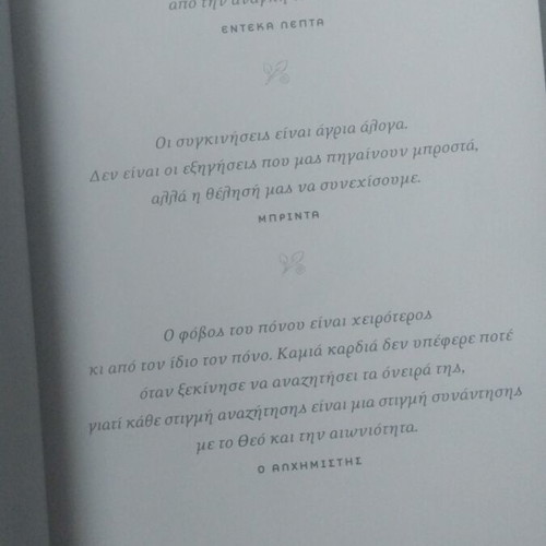 Book Life Paulo Coelho like new