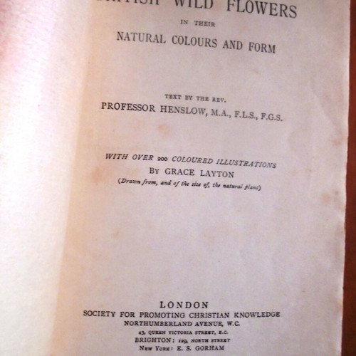 British Wild Flowers In Their Natural Colours And Form used book