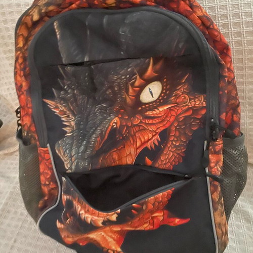 Polo school backpack like new with two large and two small compartments