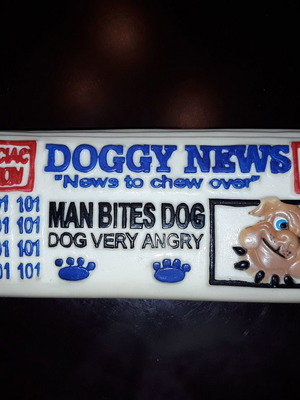 Dog toy newspaper 22cm vinyl with sound new