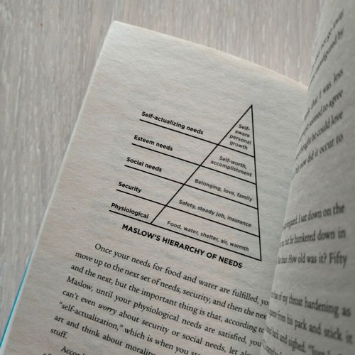 The Fault In Our Stars John Green book like new, English