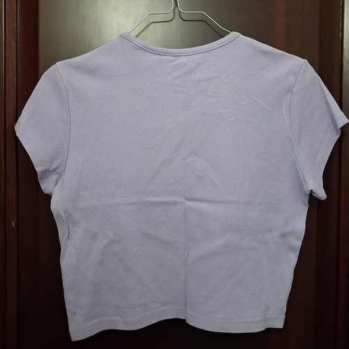 Blink-182 Crop Top H&M like new, lilac