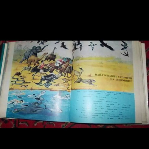 Encyclopedia Svetat Okolo Nas like new, illustrated for youth