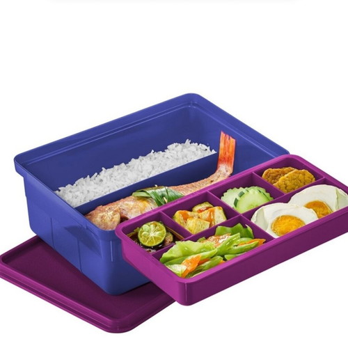 Fun Kepper Tupperware food storage container new