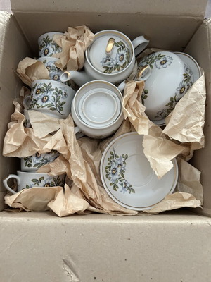 Porcelain tea set 15 pieces new