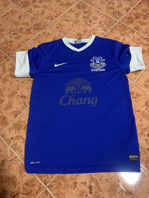 Nike Everton Mens Jersey like new, size M