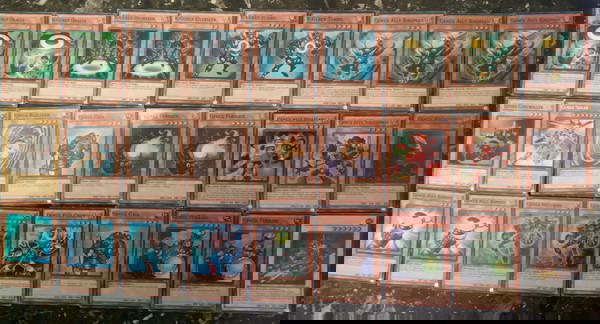 Genex Support (Yugioh)