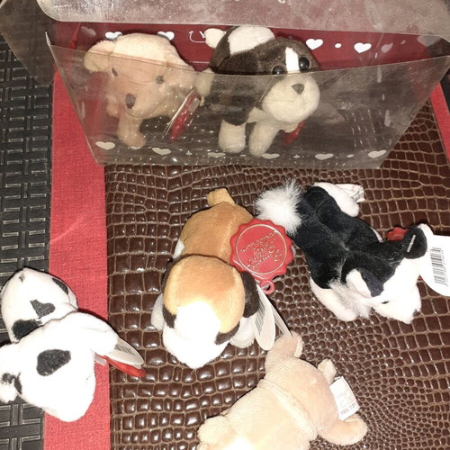 Box with dogs new, various breeds