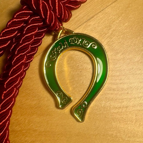 Good Luck Charm new