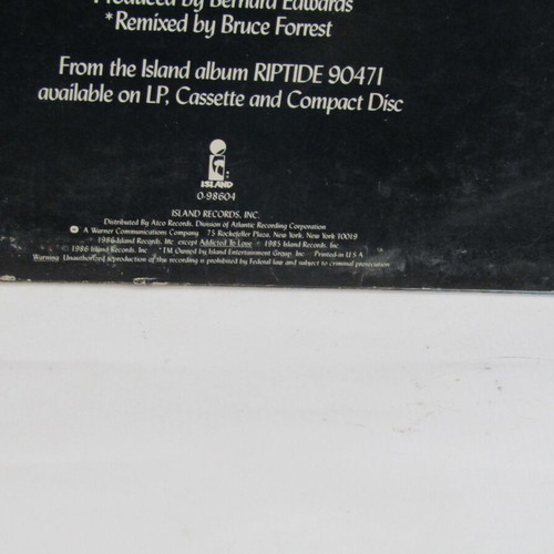 Robert Palmer I Didn't Mean To Turn You On LP used, extended dance mix