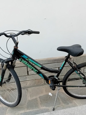 Orient Lexus adult bicycle, 7-speed, 26 inch, black