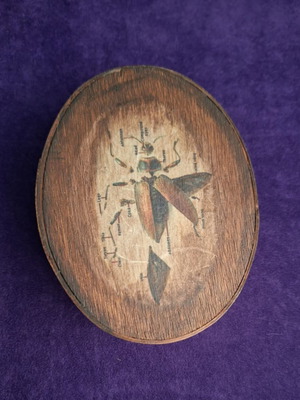 Wooden oval box with insect anatomy, new