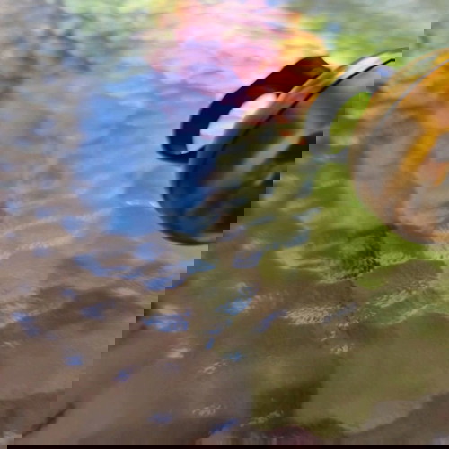 Κουδούνι ποδηλάτου καινούριο αχρησιμοποίητο