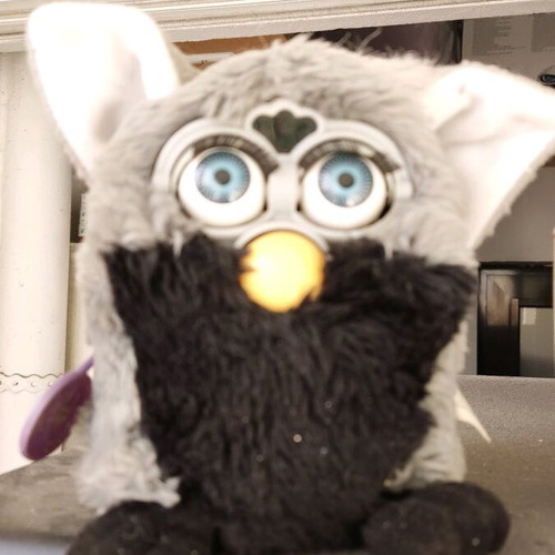 Furby 1998 used Koala Silver grey and black
