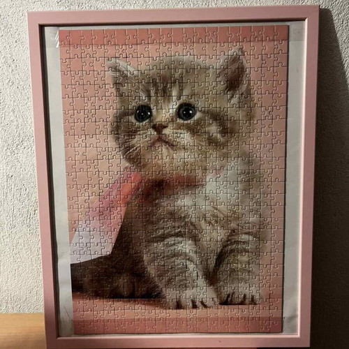 Framed 500-piece kitten puzzle with pink frame and glass
