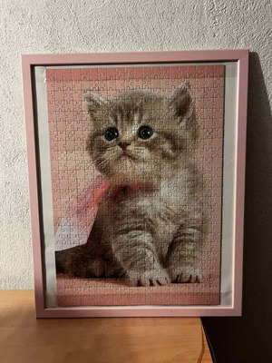 Framed 500-piece kitten puzzle with pink frame and glass