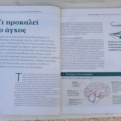 Anxiousness & Phobias magazine like new, Parapolitika 2013