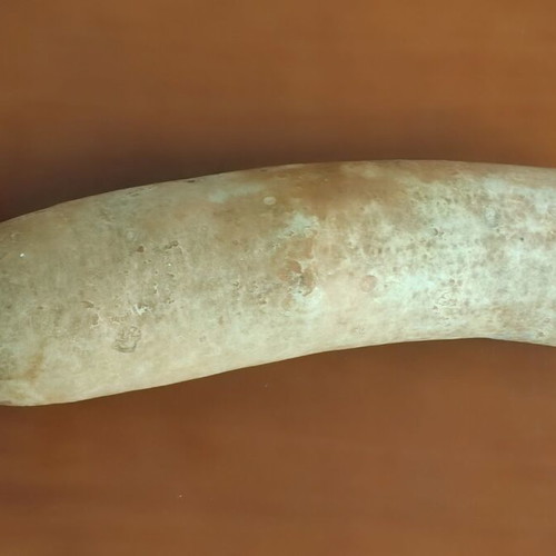 Dried gourds like new, pack of 4 pieces