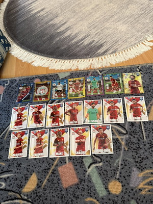 Adrenalyn XL Liverpool cards used, set