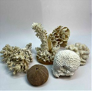 Σετ 6 διακοσμητικά κοράλλια 12cm,22cm,14cm,10cm