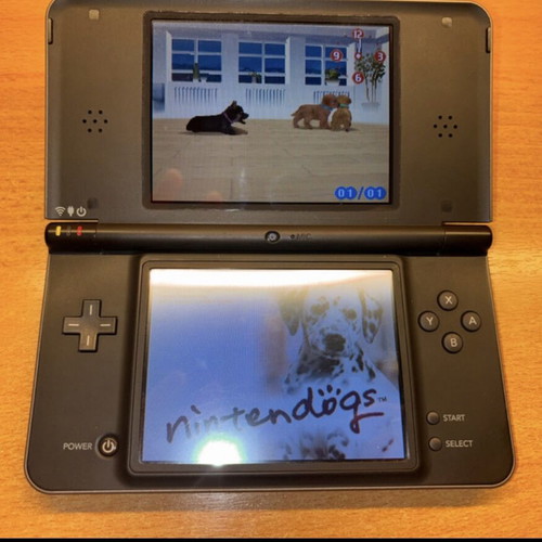Nintendo Dsi XL like new with Nintendogs card, charger, and stylus