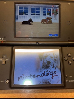 Nintendo Dsi XL like new with Nintendogs card, charger, and stylus