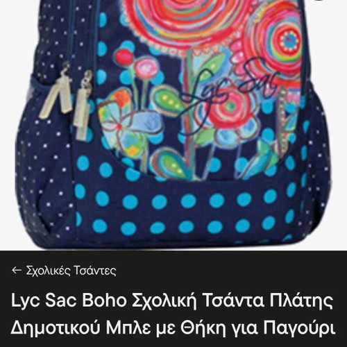 Lyc Sac Primary School Backpack used in very good condition