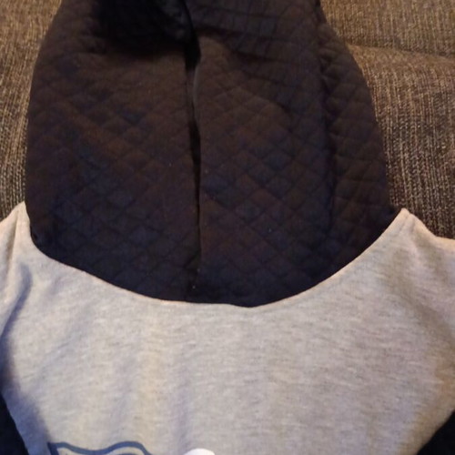 Alouette sweatshirt for 16-year-olds like new, gray and blue