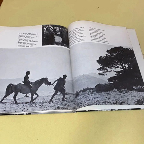 Junge Aphroditen hardcover art book like new, German