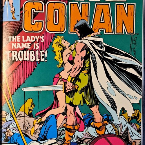 The Chronicles of King Conan Vol. 2 used, Vengeance from the Desert