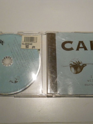 Cake I Will Survive CD single used, rock