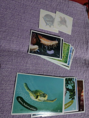 AB Stickers Explore the Ocean like new, pack of 19 with tattoos
