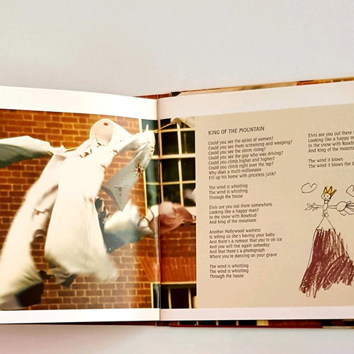 Kate Bush Aerial CD like new
