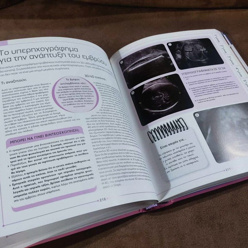Larousse Everything About Pregnancy book like new