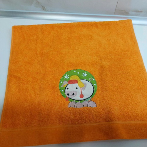 Clotsotiiras children's face towel new