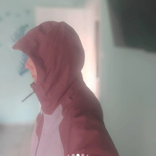 Adidas Terrex windbreaker new, waterproof, pink, women's M