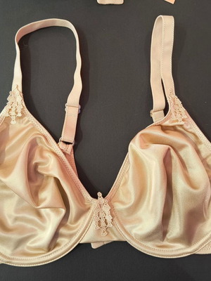 BRA HELEN PLUS SIZE 9434 80D from a Store that CLOSED