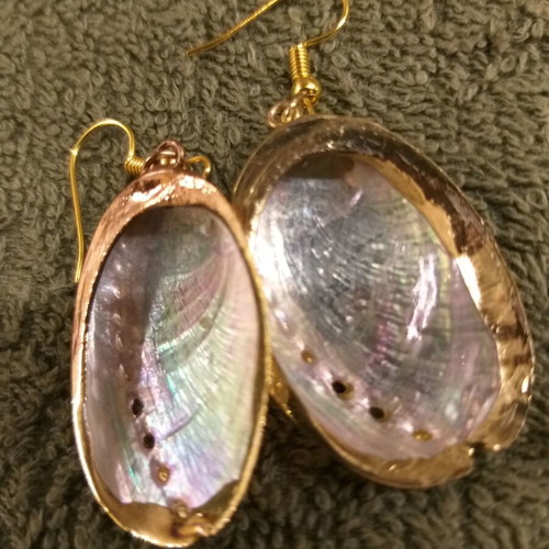 Abalone shell earrings
