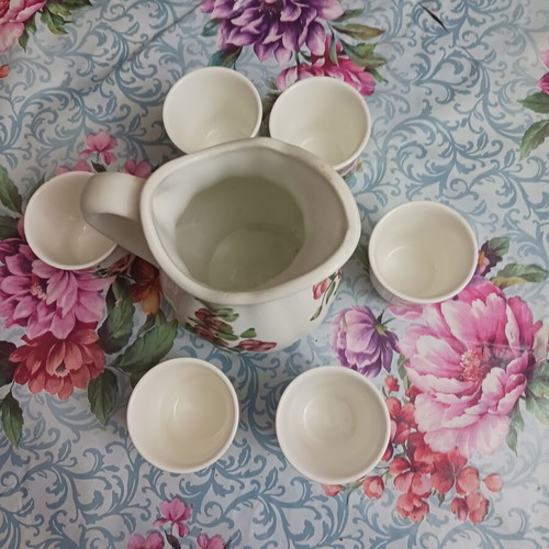 Porcelain set 6 glasses and 1 jug floral design like new
