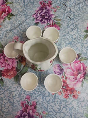 Porcelain set 6 glasses and 1 jug floral design like new