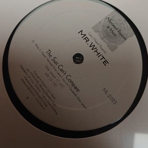 Mr. White You Rock Me vinyl new, electronic