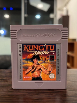 Kung Fu Master Nintendo Game Boy like new