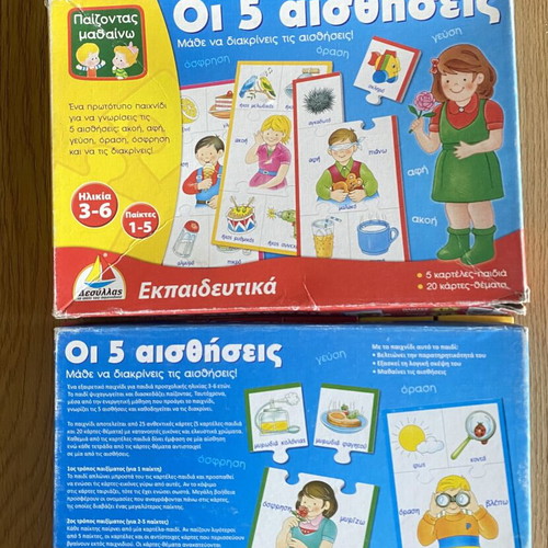 Educational board game The 5 Senses used