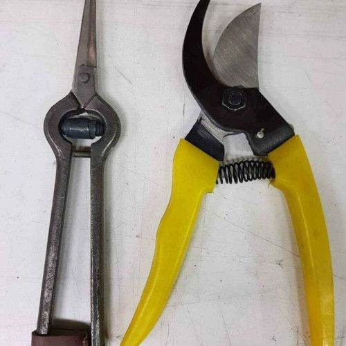 Set of 2 pruning and vineyard scissors new