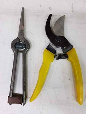Set of 2 pruning and vineyard scissors new
