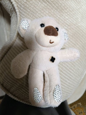 Stuffed toy used