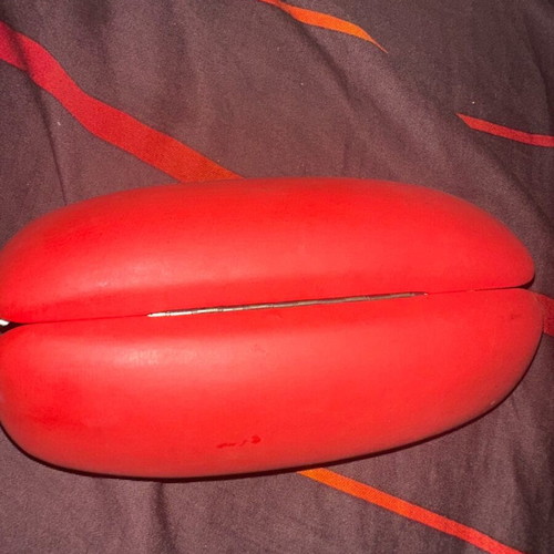 Carrera Junior glasses case used, red
