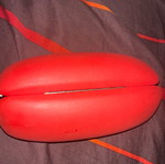 Carrera Junior glasses case used, red